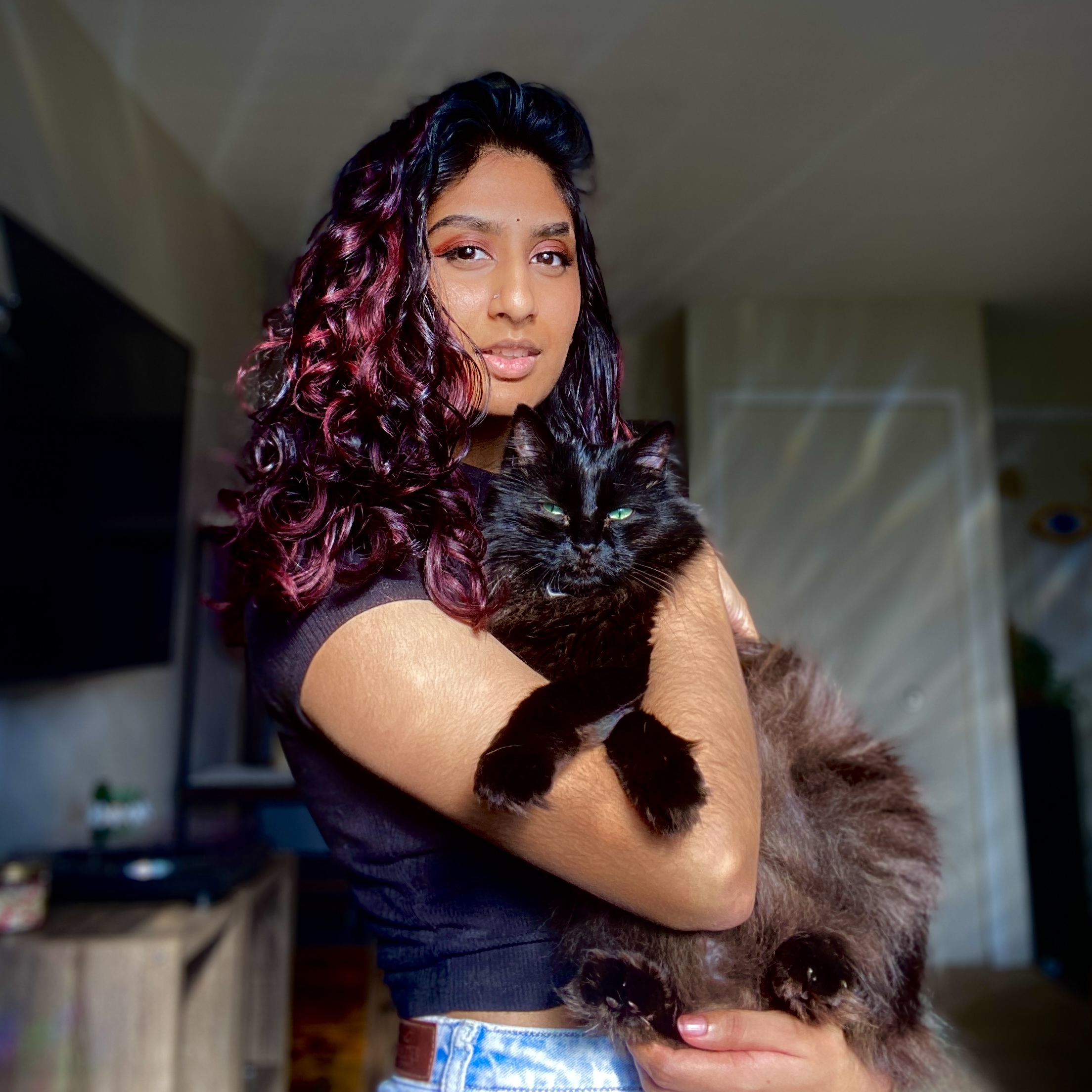 Toothless and Neeharika